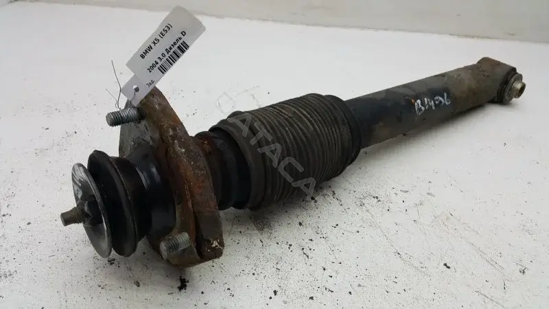 Амортизаторы 10372884