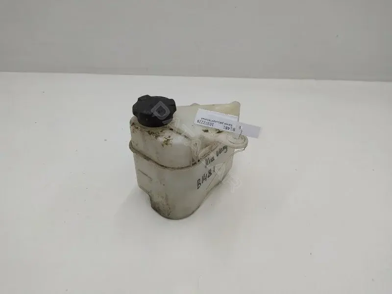 Расширительный бачок 254301P000