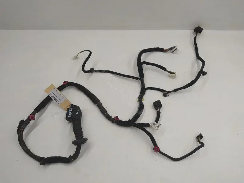 Проводка двери 916001W350D