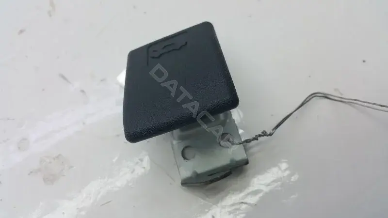 Ручка открывания капота 10368915