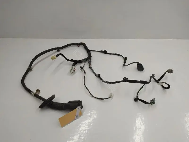 Проводка двери 916003U430