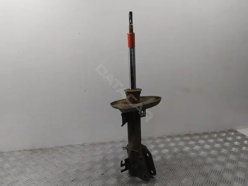 Амортизаторы 10368198