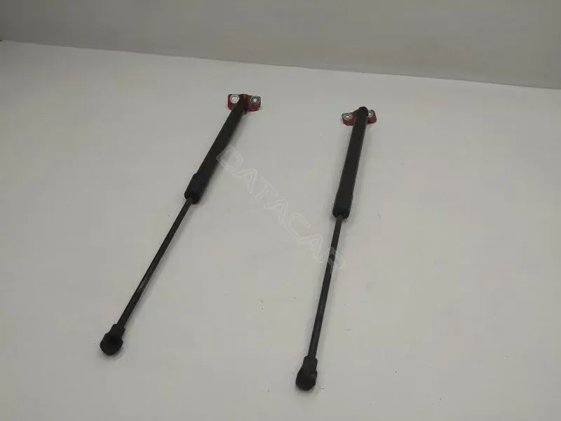 Амортизатор крышки багажника, капота, заднего стекла 844301324R