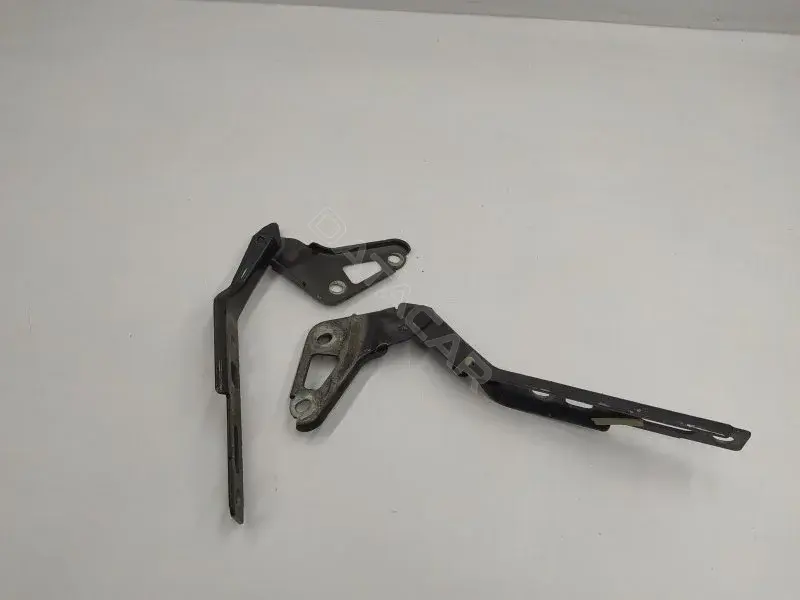 Петля капота 4L0823302