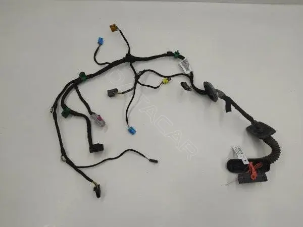 Проводка двери 5C8971120E