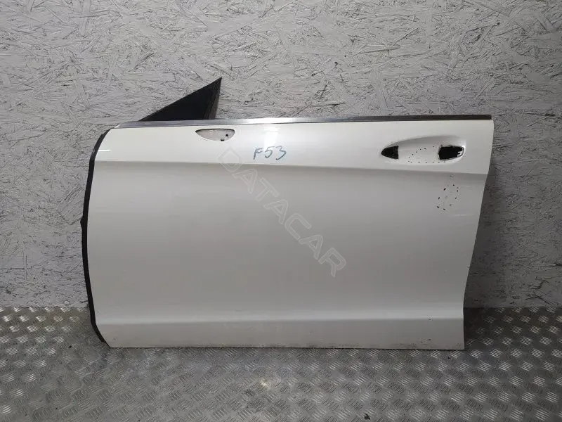 Дверь 10364248