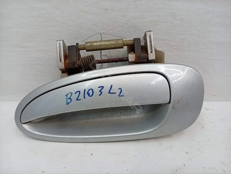 Ручка двери 6924005050