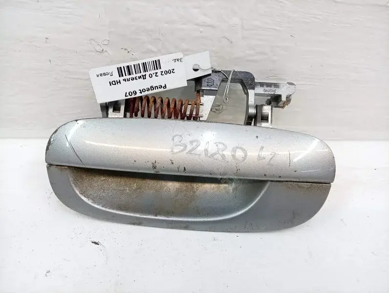 Ручка двери 9629157577
