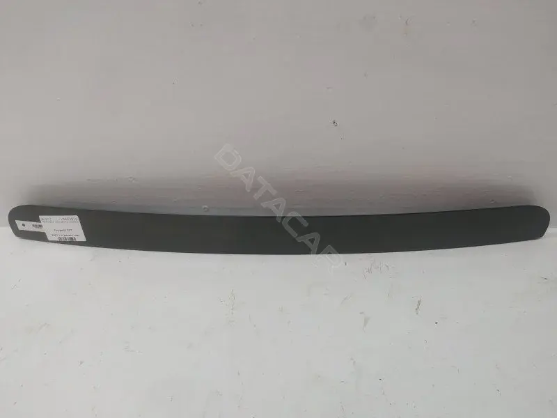 Фонарь подсветки номерного знака 10433920