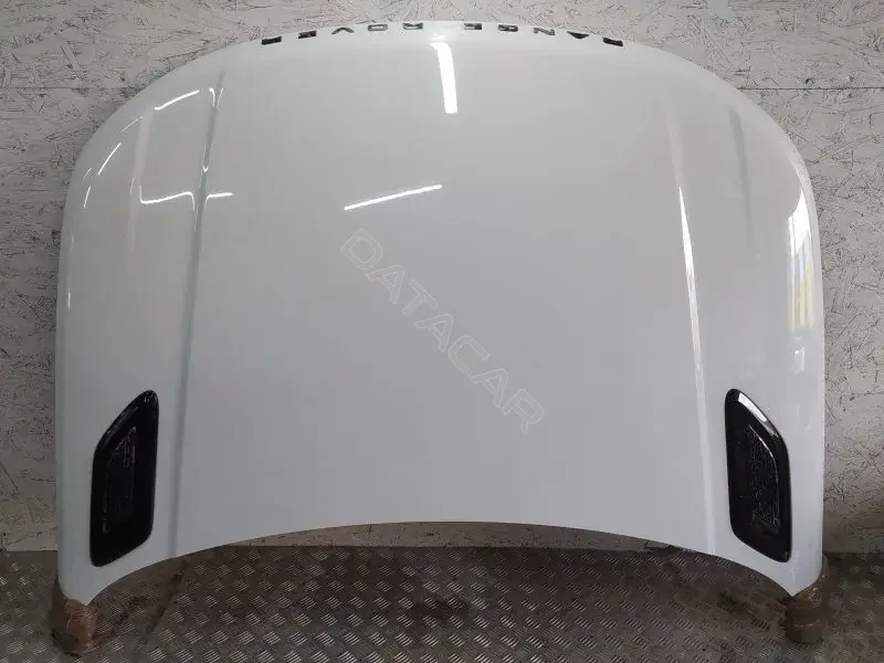 Капот 10356808