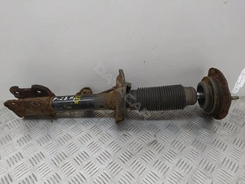 Амортизаторы 10356389