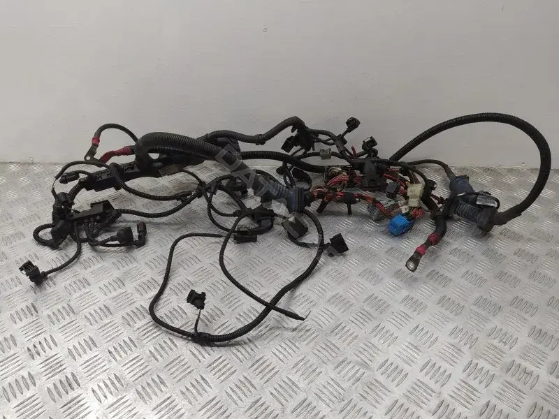 Проводка двигателя 758012802