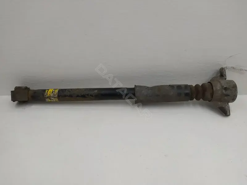 Амортизаторы 10341368