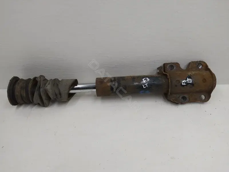 Амортизаторы 10341303
