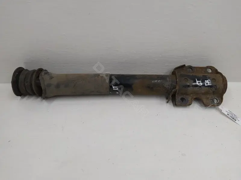Амортизаторы 10341280