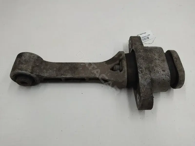 Подушка двигателя (Опора) 219592S000