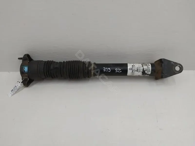 Амортизаторы A1663261500