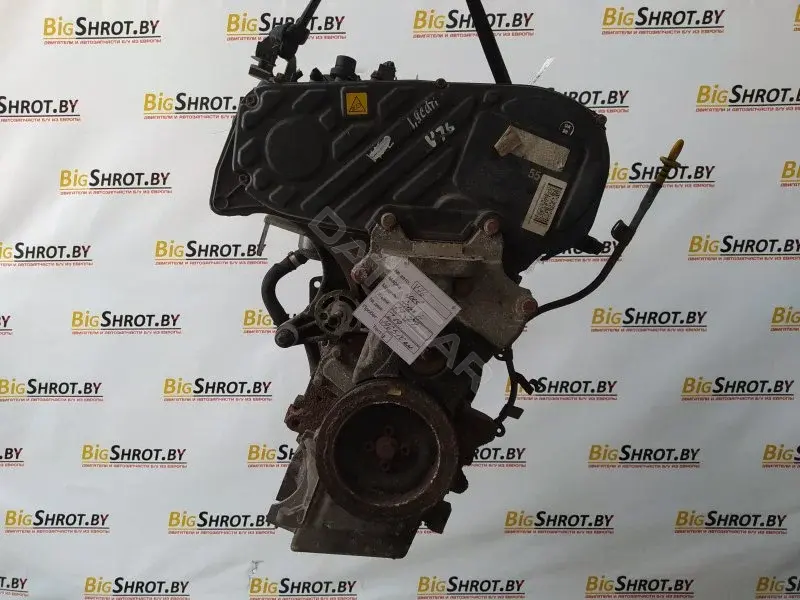 Двигатель в сборе Z19