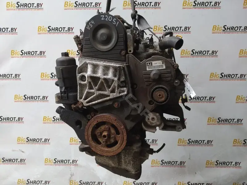 Двигатель в сборе Z20SI