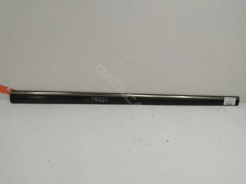 Молдинг двери A2206900662