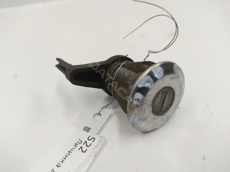 Личинка замка двери 10323904