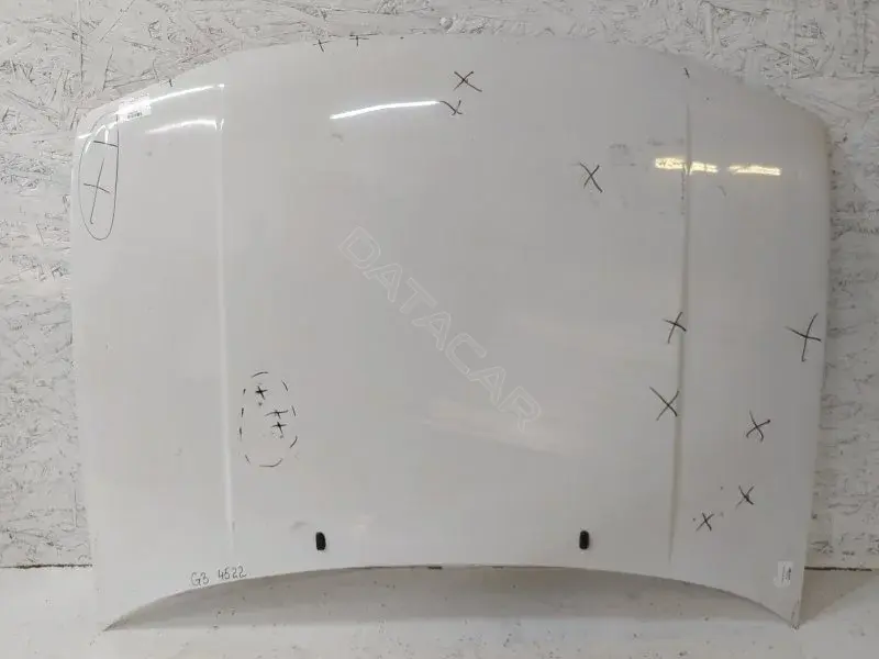 Капот 10317426