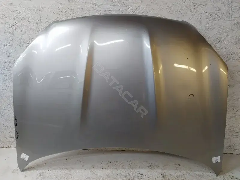 Капот 10316981