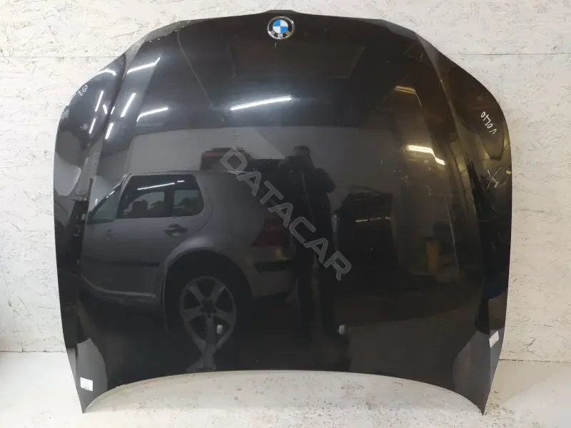 Капот 10316965
