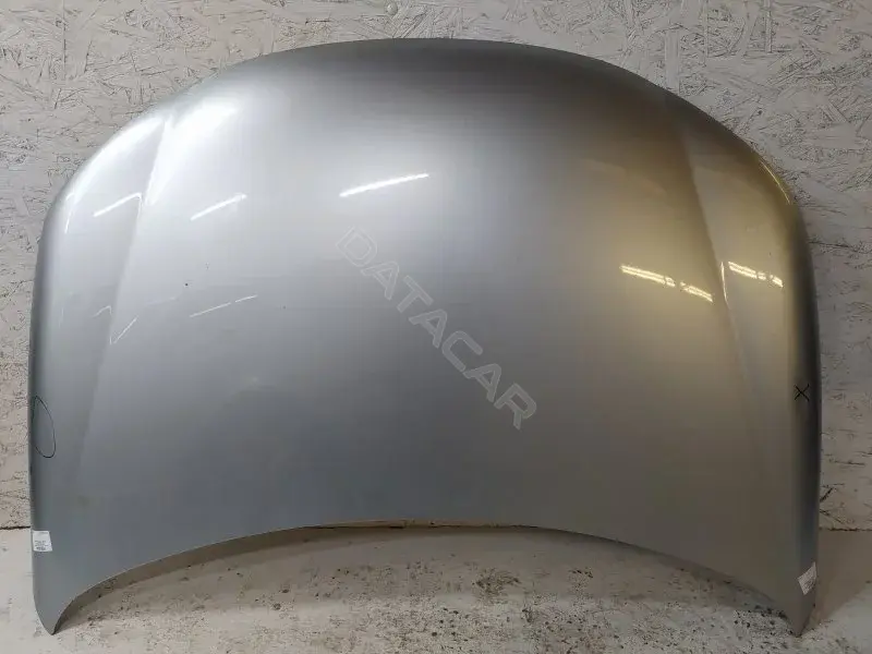 Капот 10316957