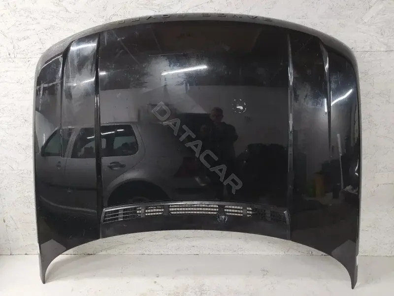 Капот 10316949