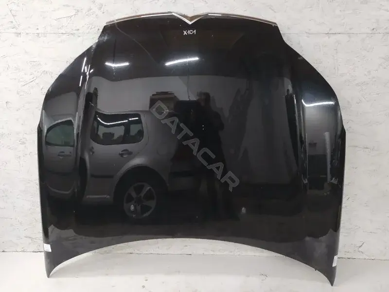 Капот 10316498