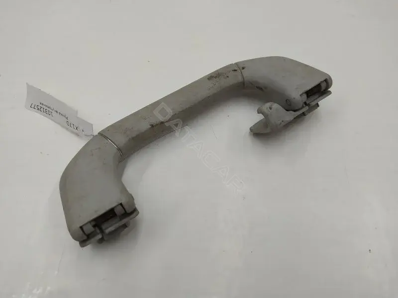 Ручка внутренняя потолочная 7M0857607A