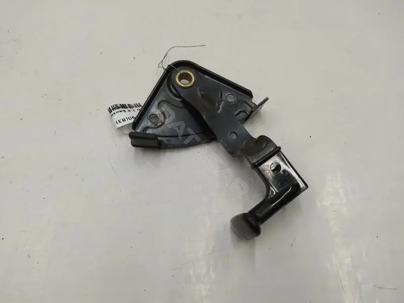 Ручка открывания капота 10309988