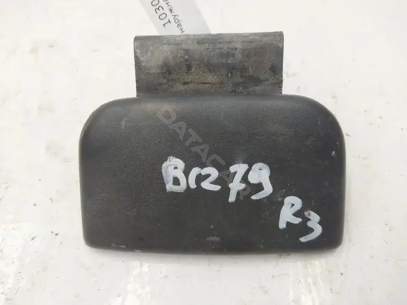 Ручка двери 10300051