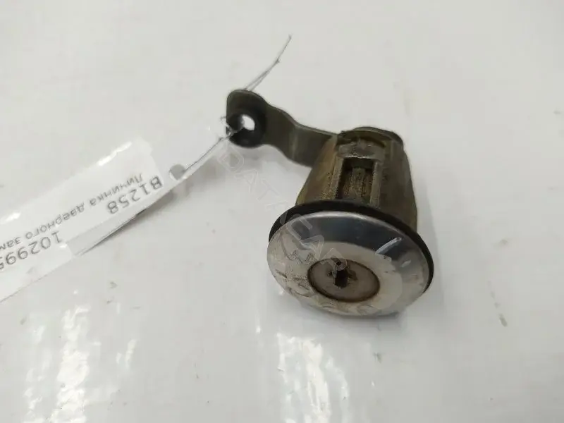 Личинка замка двери 10299586