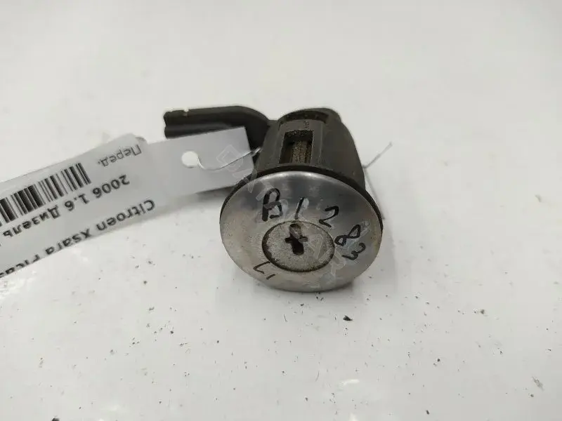 Личинка замка двери 10299490