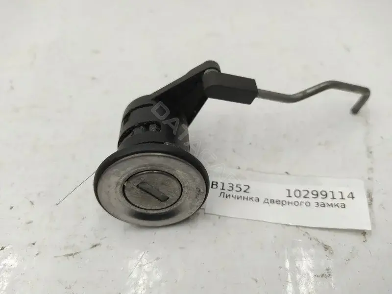 Личинка замка двери 10299114