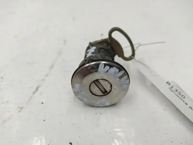 Личинка замка двери 10299037