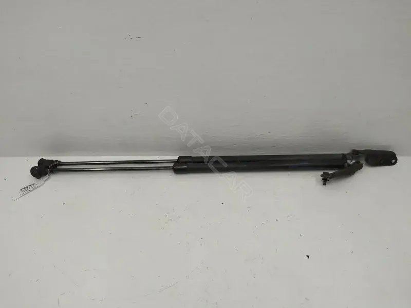 Амортизатор крышки багажника, капота, заднего стекла 10298264