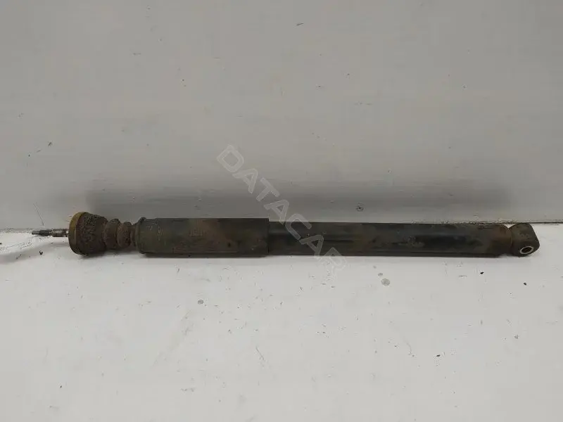 Амортизаторы 10296018