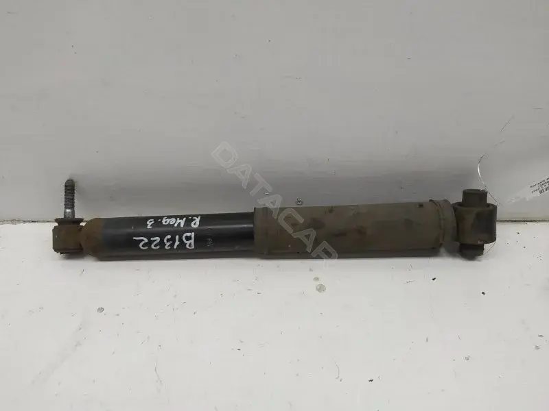 Амортизаторы 10296017