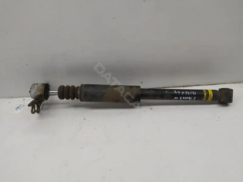 Амортизаторы 10295991