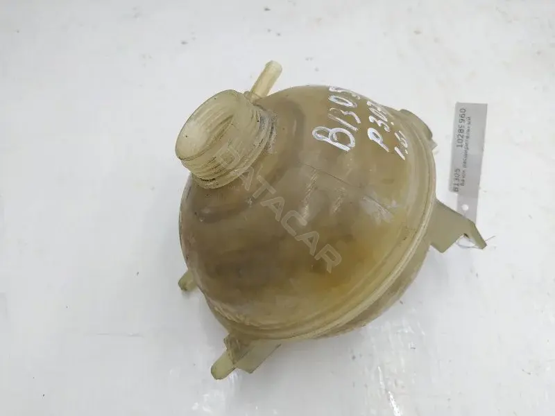 Расширительный бачок 10289960