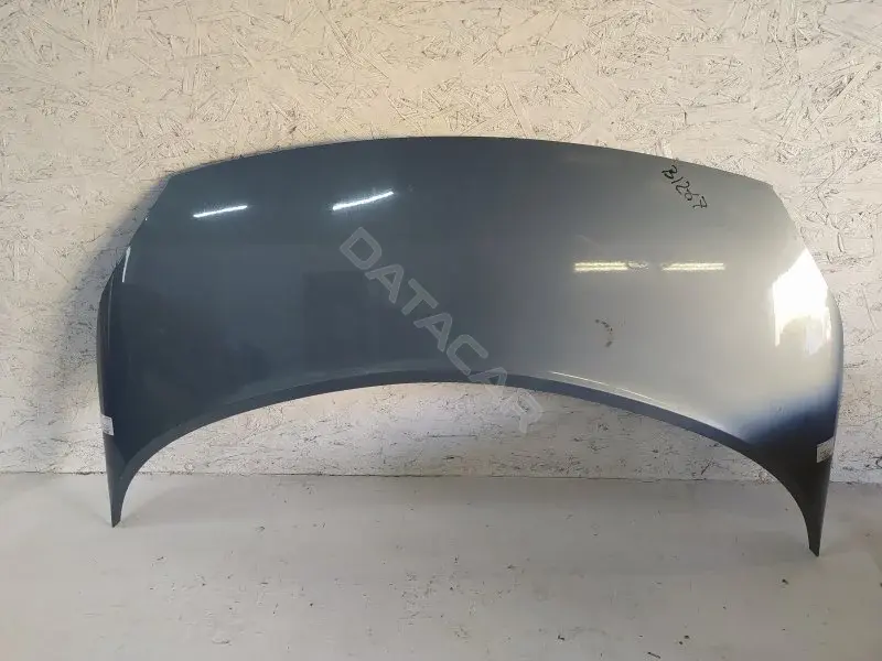 Капот 10289243