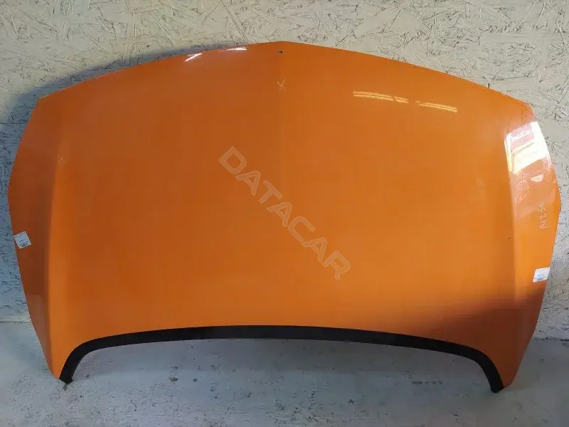Капот 10289235