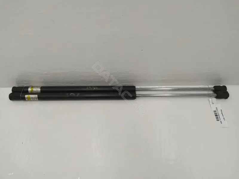 Амортизатор крышки багажника, капота, заднего стекла 10278934