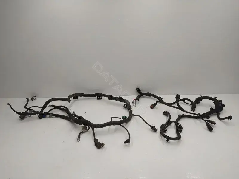 Проводка двигателя 10278724