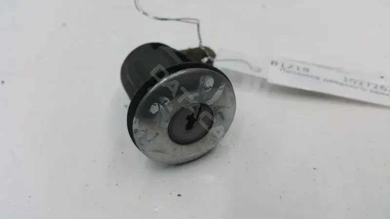 Личинка замка двери 10272624