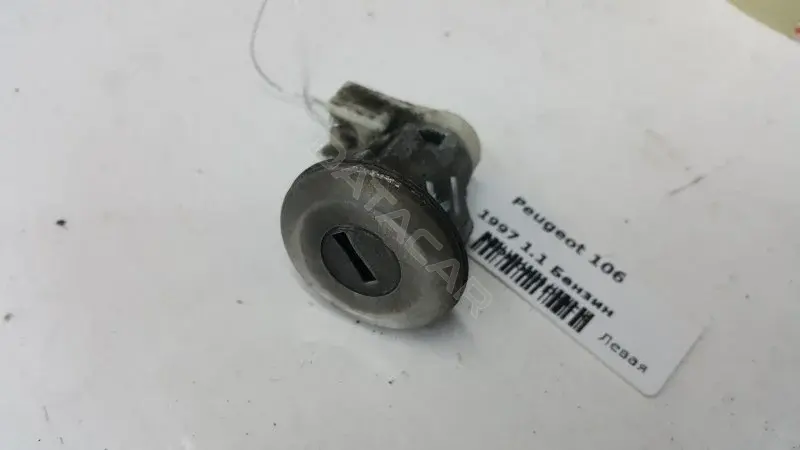 Личинка замка двери 10270175