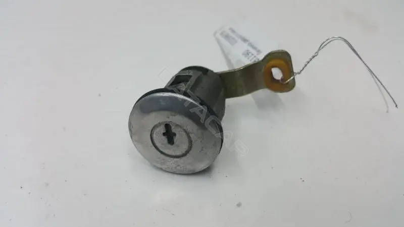 Личинка замка двери 10269878